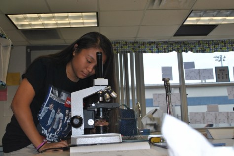 Eighth-grader Emily S. prepares to look at onion slices through a microscope.