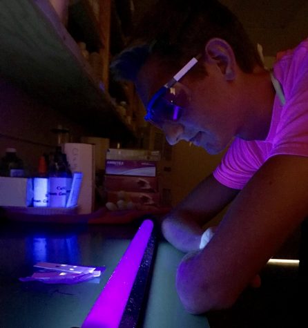 Ultraviolet Understandings