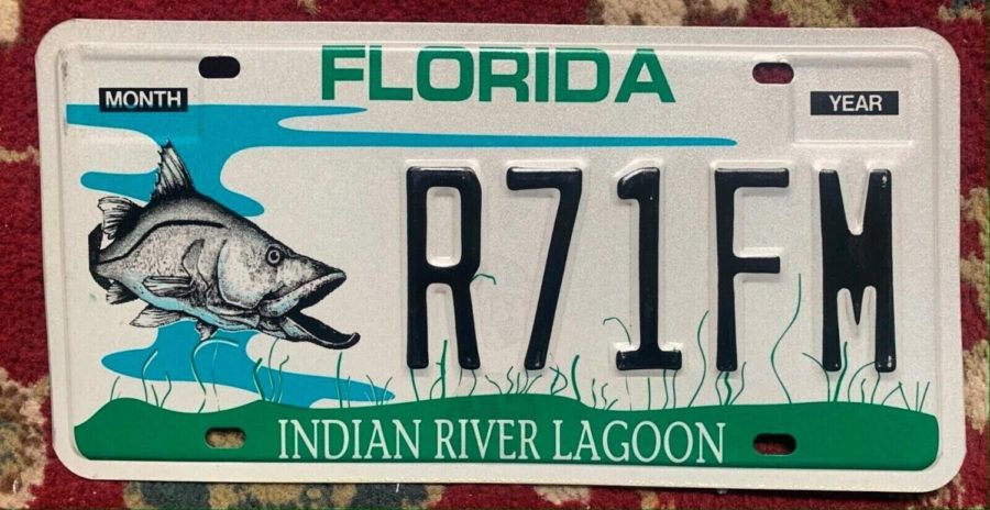New+license+plate+to+fund+Indian+River+Lagoon