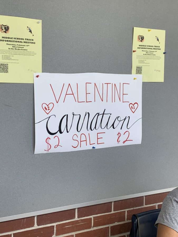 Love is in the air with annual Valentine carnation sale