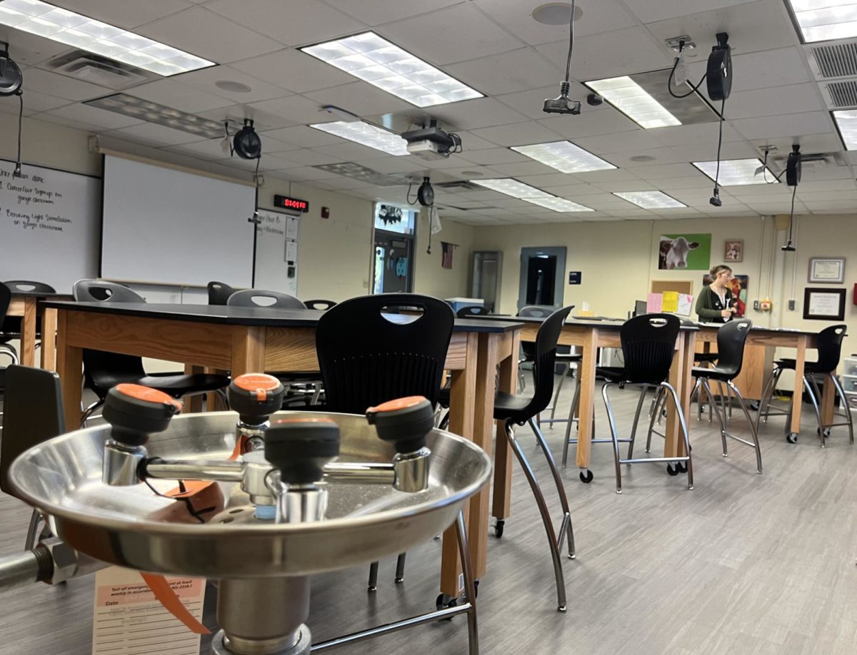 Allison Vautiers science classroom was one of the classrooms recently renovated. 