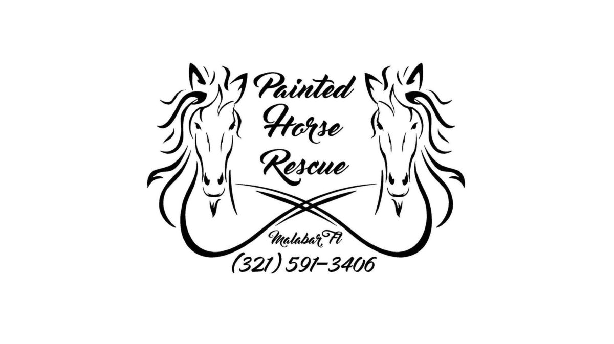Painted Horse Rescue