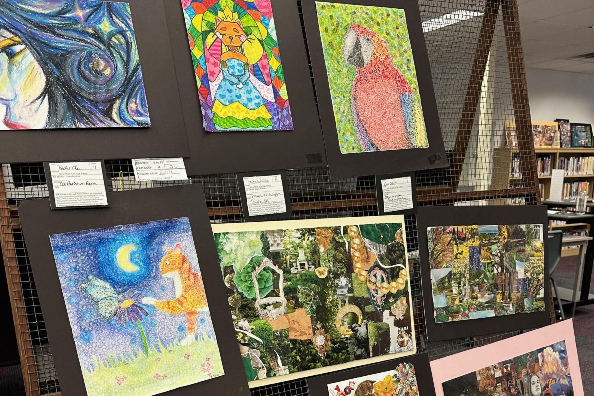 A large variety of artwork from Jelena Robbins art classes is displayed in the media center. The artwork ranges from collages to oil pastels and is created by students in various grades.