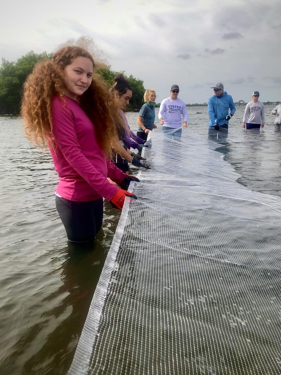 Brevard Zoo volunteers set up dissolvable oyster mats in the Indian River Lagoon.