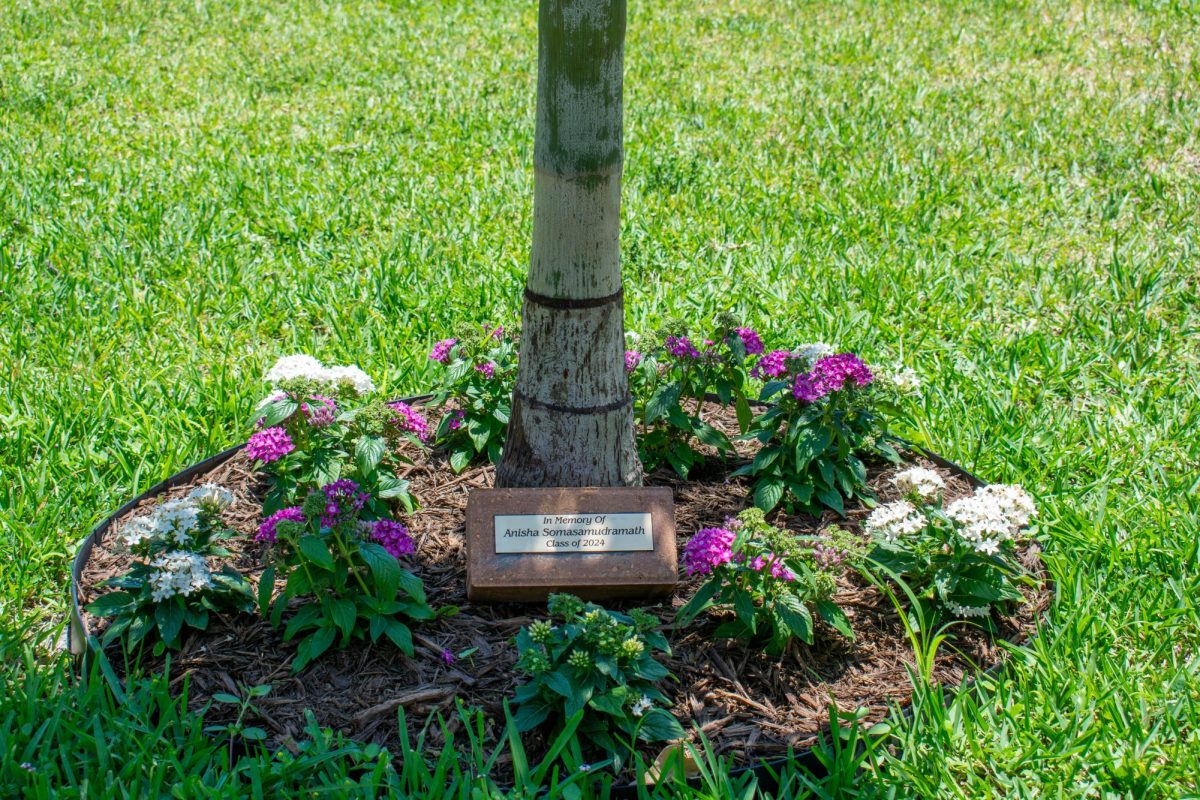 Under the direction of math teacher Debbie Jerden, members of First Priority provided funds for a foxtail palm  planted outside the commons area in memory of Anisha Somasamudramath, who wouldve graduated with the class of 2024. The palm was planted by former art teacher Matt Henderson.
