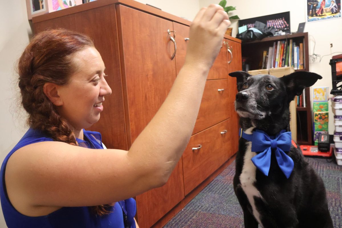 Assistant Principal Sarah Perry plays with Tesla, the school's new therapy dog and Perry's pet of 10 years, on Aug. 22. "My husband and I rescued her from a place that brings litters of puppies from high-kill shelters in the South," Perry said. "She's always been very go-with-the-flow and very relaxed, and nothing seems to bother her, except getting her photo taken."