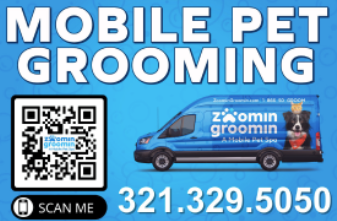 Zoomin Groomin