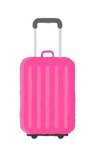 2-3 Shuhuai (EF Opinion) Luggage